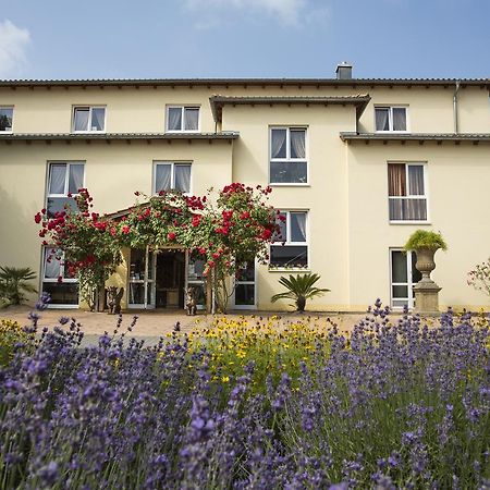 Mediterran Hotel Juwel Karlstein am Main Exterior foto